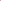 Mohra Sily Rose