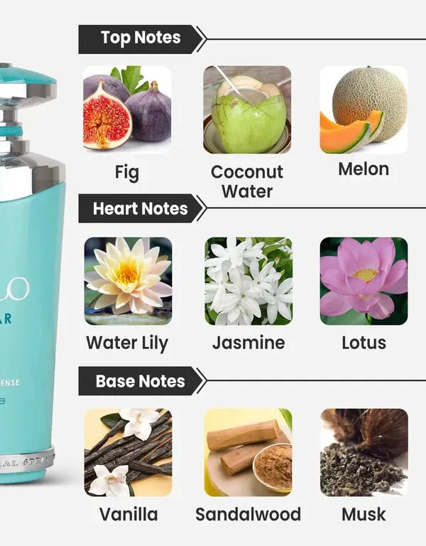 Mayar Natural Intense