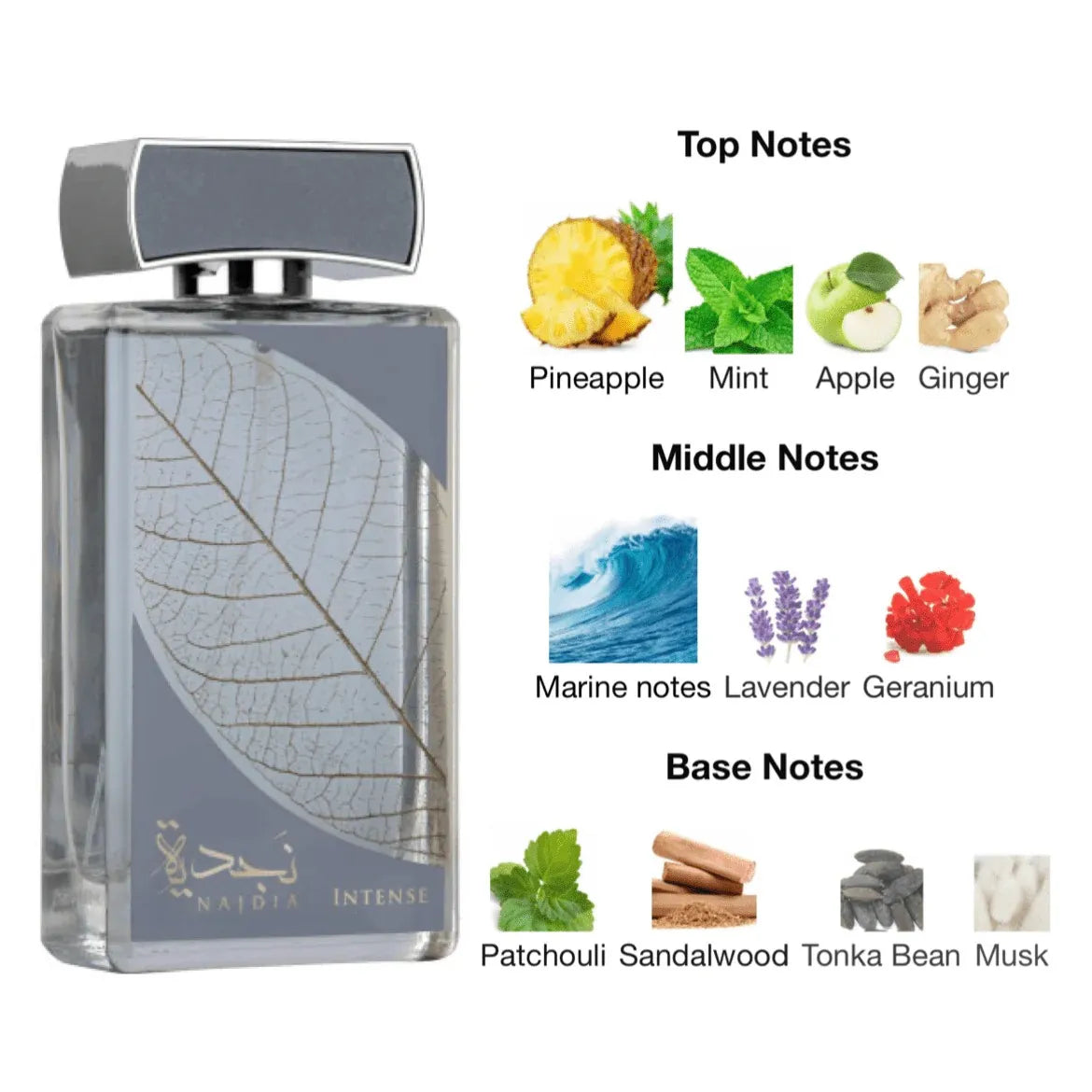 Najdia Intense – Perfume Place