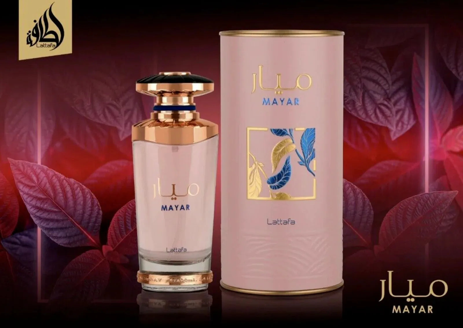Mayar
